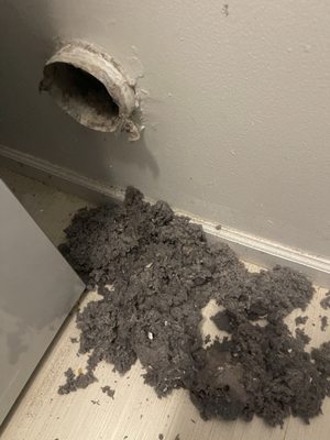 Lint removed from a dryer vent, from Leo Technician’s work portfolio.